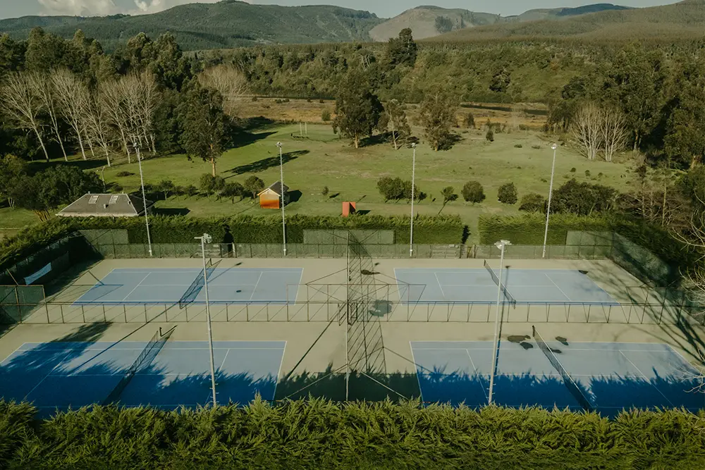 tenis